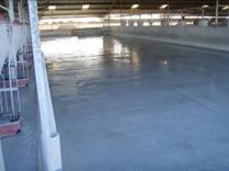 Sec limewash wet