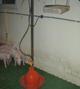 Floor lying sleeping and water
