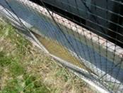 Security bird proof front