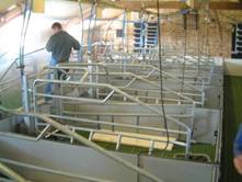 Cleaning farrowing