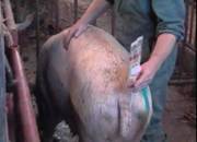 Repro service technique good 1