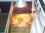 Farrowing wet creep area kr