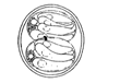 Coccidia Isospora suis drawing