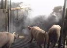 Air smoking room draughts