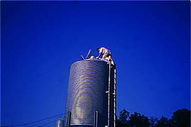 Feed bin checking