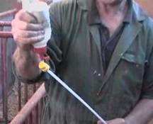 AI gel onto catheter.jpg