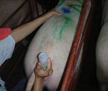 ai tech 8 bottle end tw