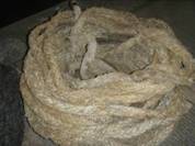 Description: P5168527