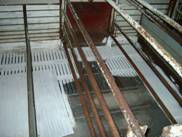 Description: Limewashing farrowing2