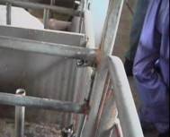 Description: C:\WINDOWS\Desktop\Maureen\Pictures\Water\Water misplaced drinker 2.jpg