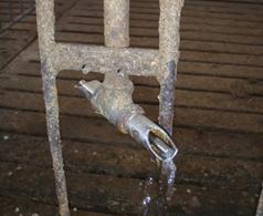 Water drinker turned leaking