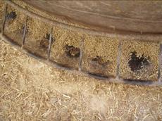 Feed holes au a4