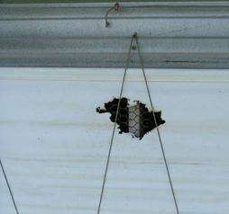Air curtain hole