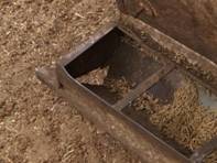 Feed hole in feeder.JPG