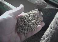 Feed pelleted feed.jpg