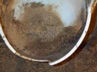 feeder-broken dirty feeder kr.jpg
