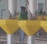 Feed bird contamination au 3.JPG