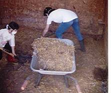 Health and safety face masks