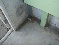 Stockmanship health safety rodent bait out 1